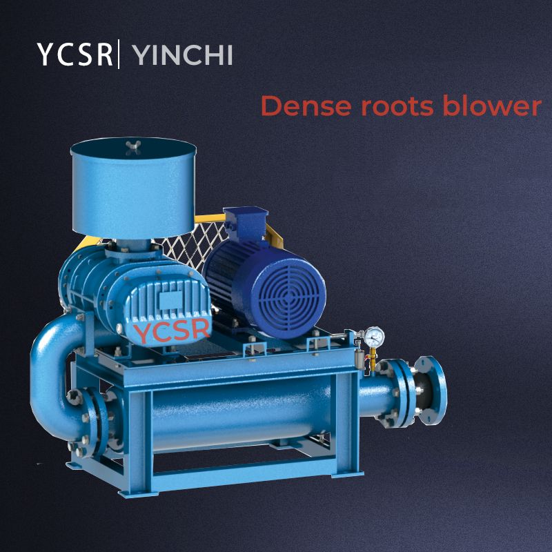 ប្រភេទ Dense Roots Vacuum Pump